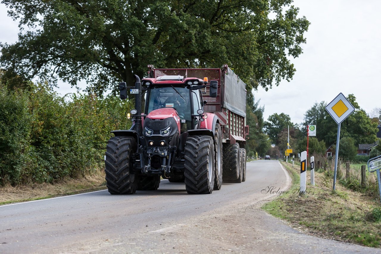 Bild 113 - Maisernte